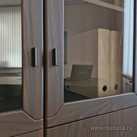 Комбинированный шкаф с гардеробом (задняя стенка ЛДСП 16 мм)