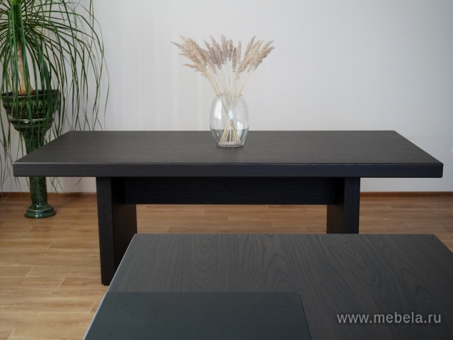 Комбинированный шкаф с гардеробом (задняя стенка ЛДСП 16 мм)