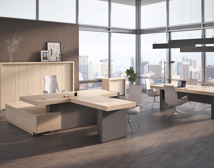 фото кабинет руководителя Эра					 №2					