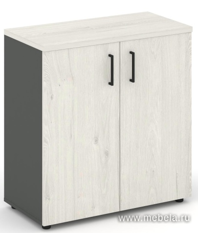 Офисный шкаф низкий широкий (2 низких фасада, задняя стенка ЛДСП)