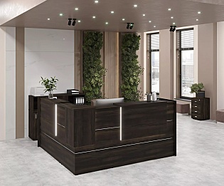 фото ресепшн Оникс Мали  №4