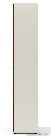 Гардероб с выдвижной штангой (каркас беж)