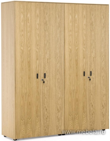 Офисный шкаф с гардеробом (4 двери)