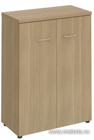 Офисный шкаф для документов средний закрытый