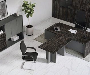 фото мебель руководителя Дали  №2