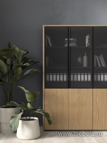 Стол руководителя на электроприводе, без экрана