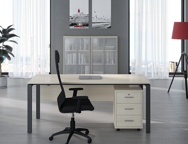 фото кабинет Тренд Металл №3