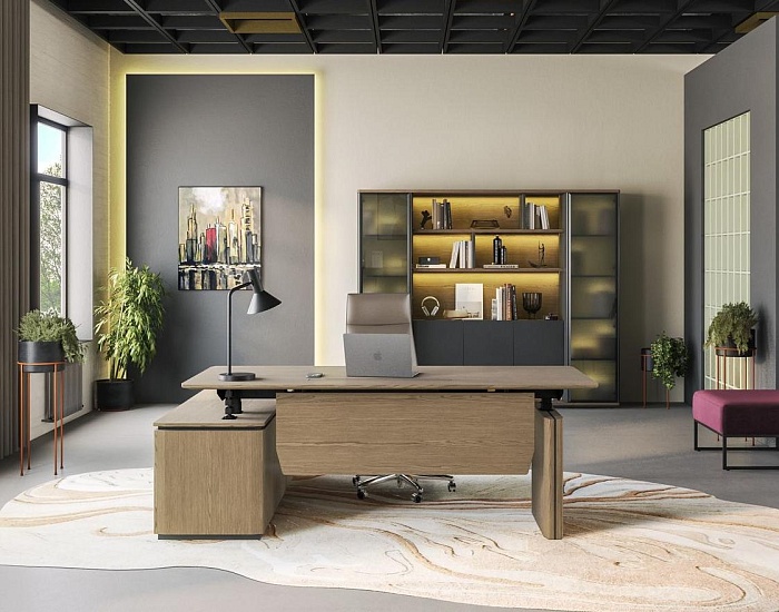 фото Кабинет руководителя Ион					 №4					