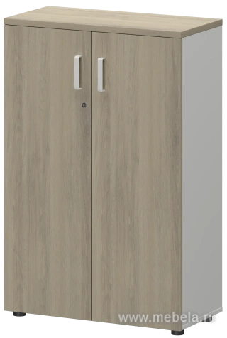 Офисный шкаф для документов средний закрытый