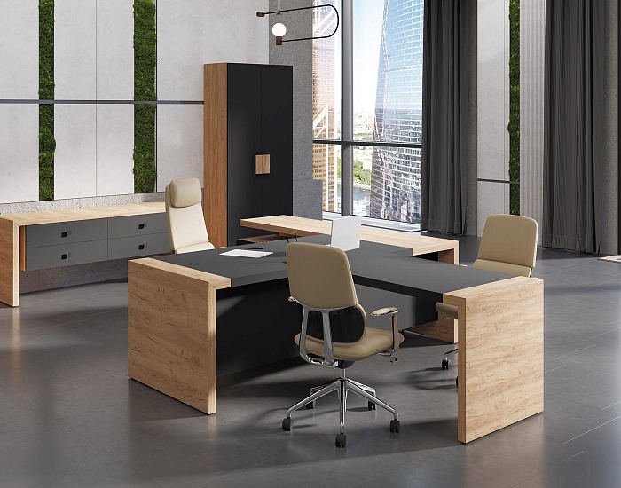 фото Кабинет руководителя Оро					