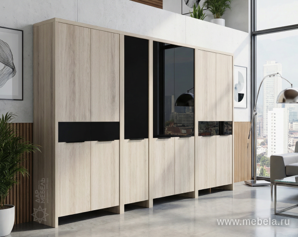 Дверь стеклянная левая 