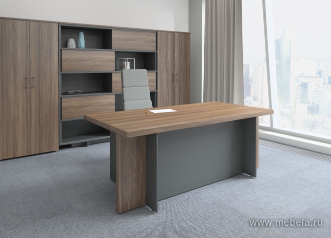 Средний Офисный шкаф-купе