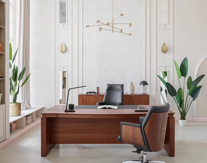 фото кабинет Лаго Орех					 №5					