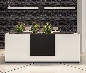 ресепшн Фаста Белый