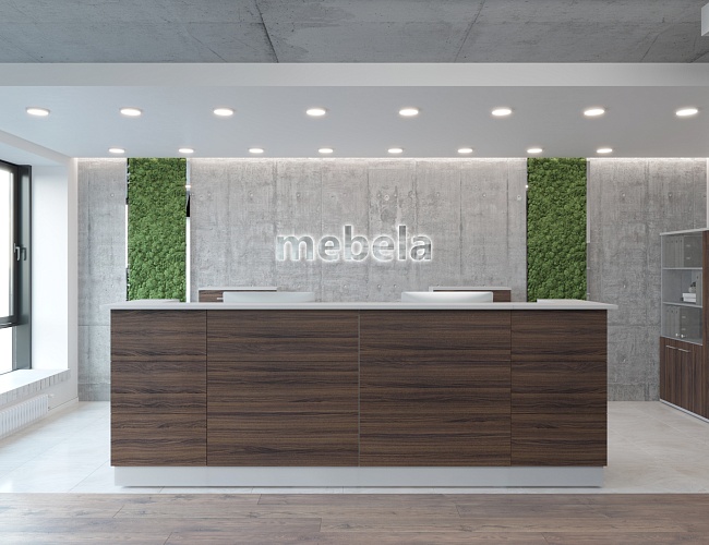 фото ресепшн Steel Dark №3