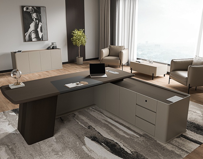 фото кабинет Астон					 №3					