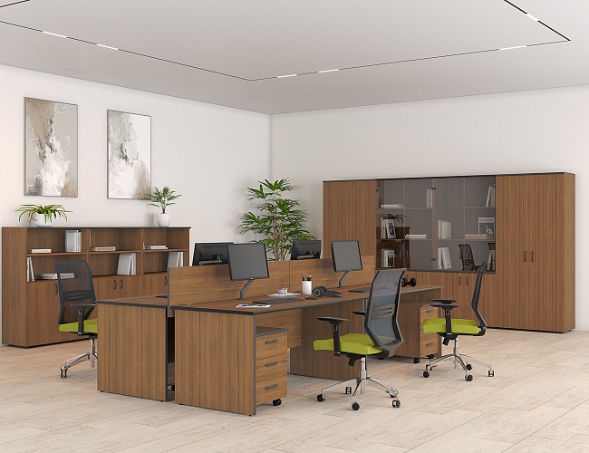 фото офисная мебель Дин-Р №4