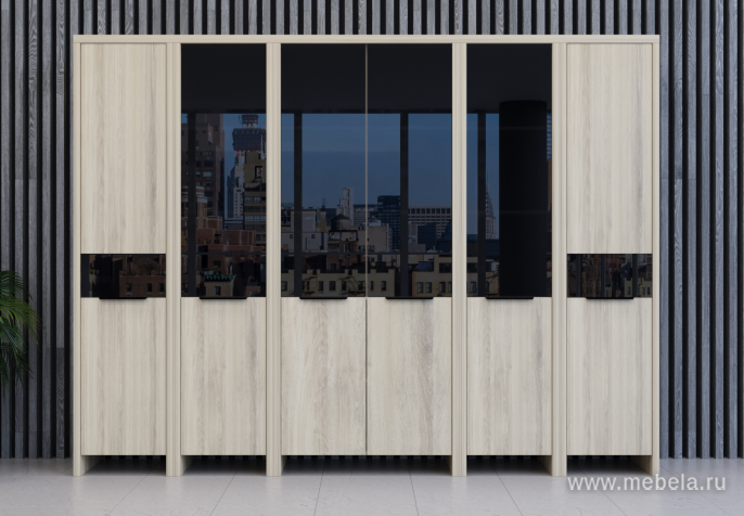 Дверь стеклянная левая 