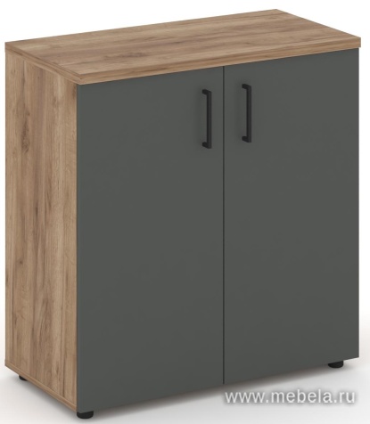 Офисный шкаф низкий широкий (2 низких фасада, задняя стенка ЛДСП)