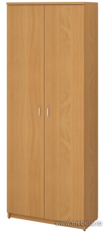 Офисный шкаф закрытый