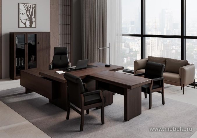 Комбинированный шкаф с гардеробом (задняя стенка ЛДСП 16 мм)