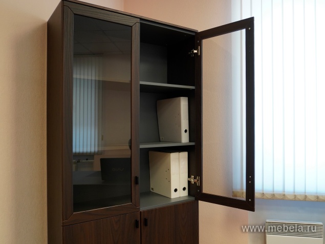 Комбинированный шкаф с гардеробом (задняя стенка ЛДСП 16 мм)