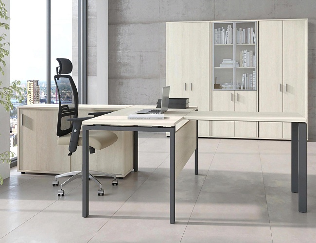 фото кабинет Тренд Металл №5