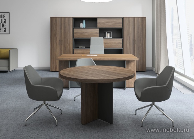 Средний Офисный шкаф-купе