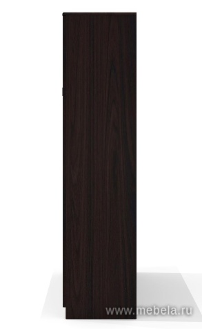 Комбинированный шкаф с гардеробом (задняя стенка ЛДСП 16 мм)