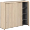 Средний Офисный шкаф для документов и гардероб +обвязка