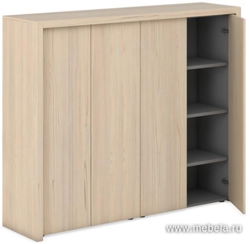 Средний Офисный шкаф для документов и гардероб +обвязка