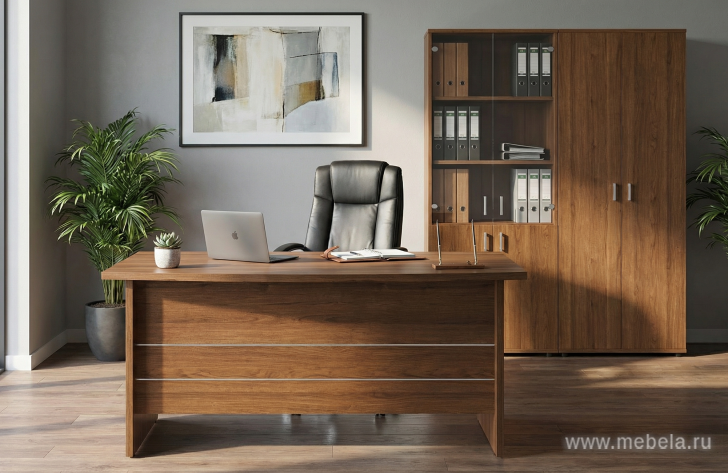 Брифинг-приставка