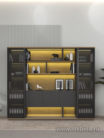 Стол руководителя на электроприводе, без экрана