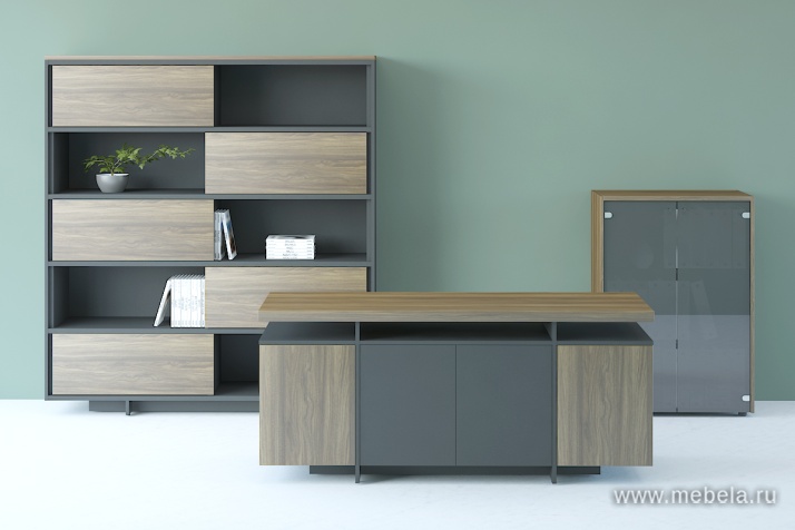 Средний Офисный шкаф-купе