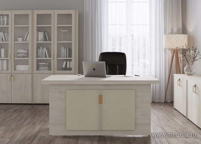 Брифинг-приставка