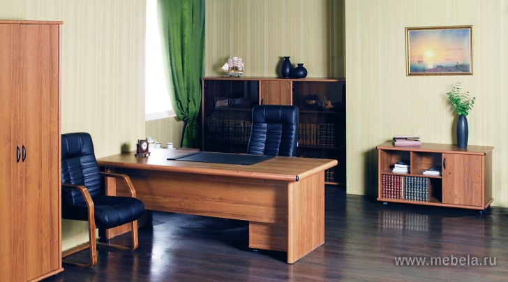 Офисный шкаф низкий узкий глухой