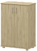 Офисный шкаф широкий средний закрытый (ЛДСП)