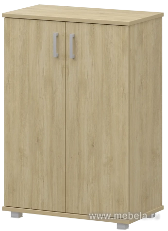 Офисный шкаф широкий средний закрытый (ЛДСП)