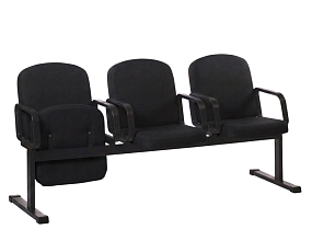 секции Камилла