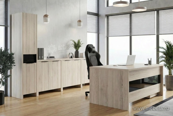 Дверь стеклянная левая 