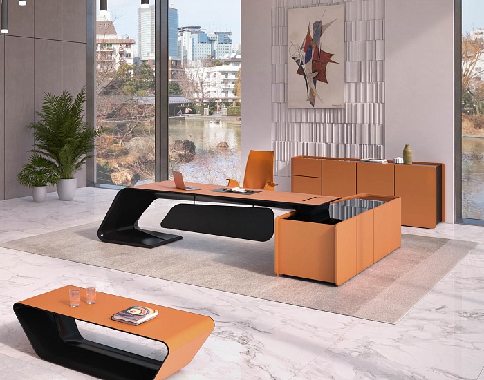 фото кабинет Бугатти Эко					 №2					