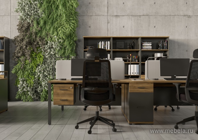 Гардероб узкий глубокий с доводчикам (задняя стенка ЛДСП)