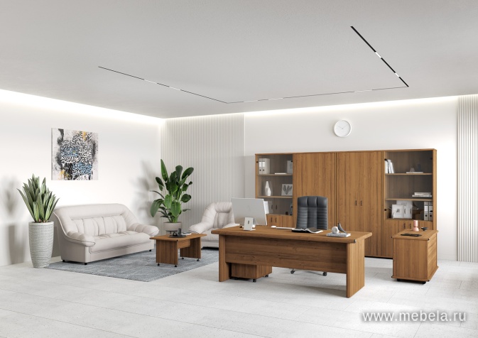 Офисный шкаф низкий узкий глухой