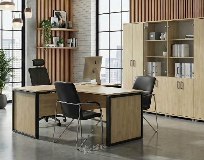 фото кабинет Аргентум-М Баттл					