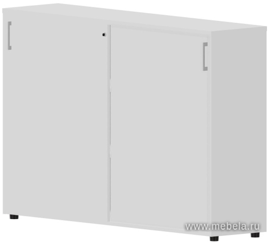 Офисный шкаф-купе