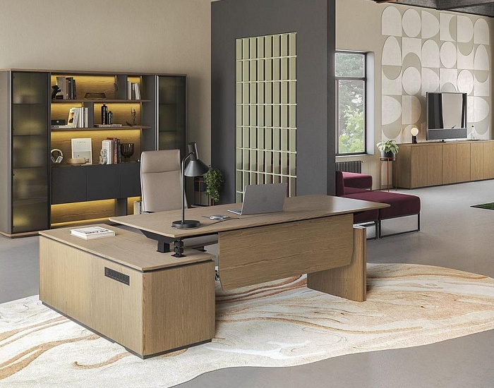 фото Кабинет руководителя Ион					 №3					