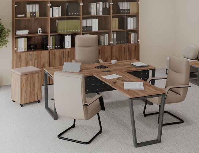 фото кабинет Проджект Дуб Т №4