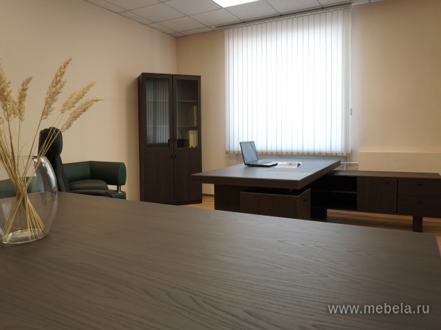 Комбинированный шкаф с гардеробом (задняя стенка ЛДСП 16 мм)