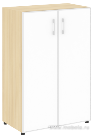 Офисный шкаф средний закрытый двери стекло в раме белое