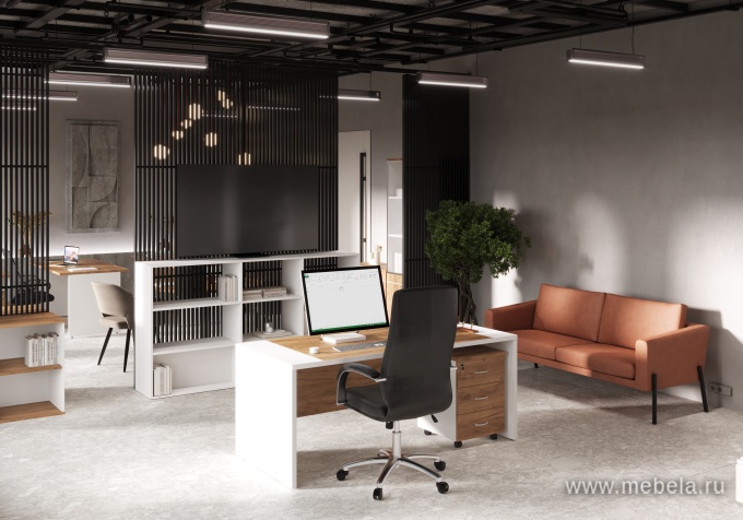 Офисный шкаф низкий закрытый